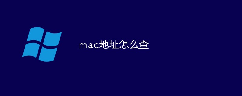 系统查找软件mac地址