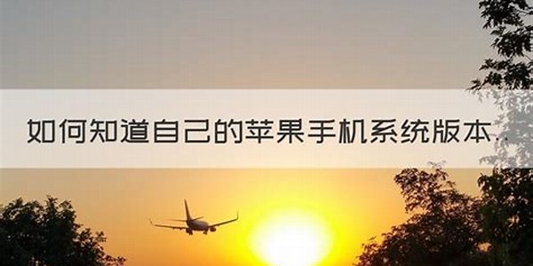 如何知道自己的苹果手机系统版本