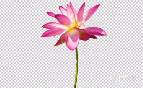 win10自带3d抠图教程