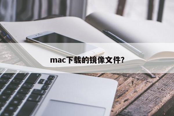 mac下载的镜像文件?