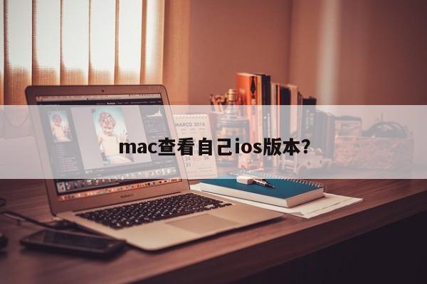 mac查看自己ios版本?