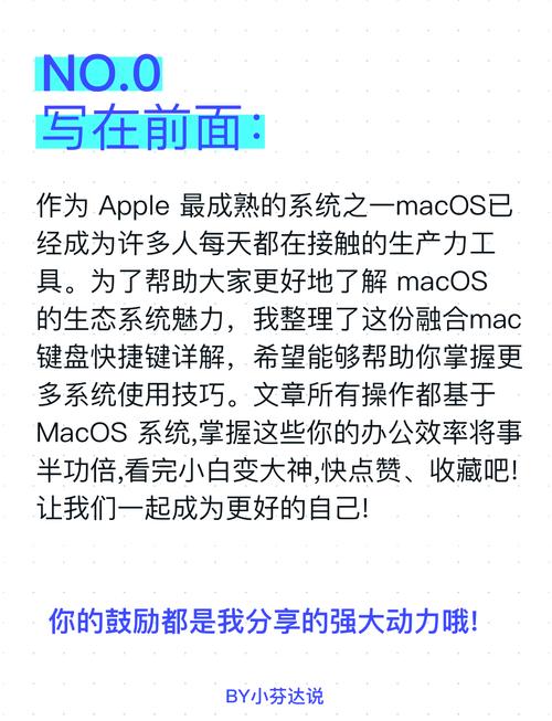 mac系统下载太慢了