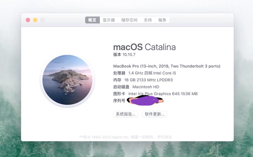 19年mac出厂系统版本