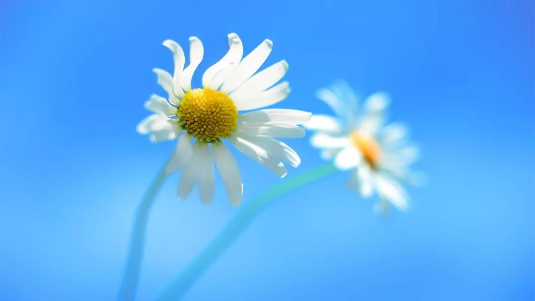 win7系统封装教程3 U盘PE装原版Win8系统教程，你知道该怎么做吗？